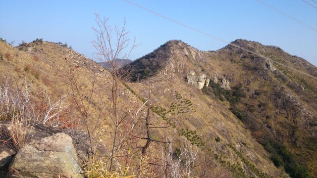 b0148050_2305190.jpg