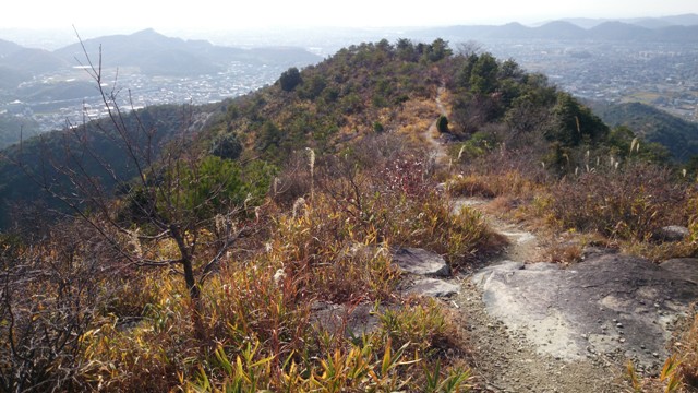 b0148050_23202232.jpg
