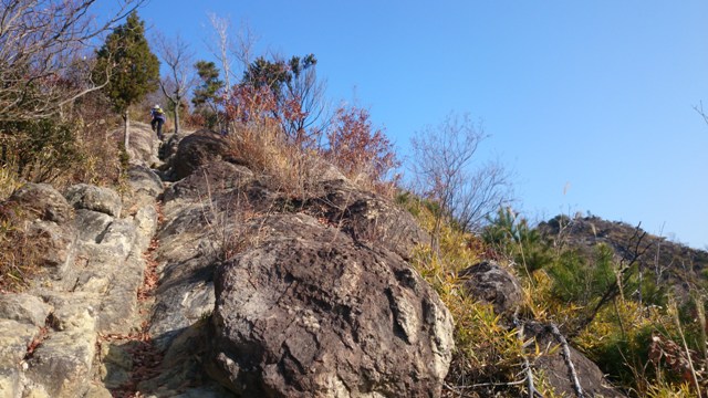 b0148050_232946.jpg