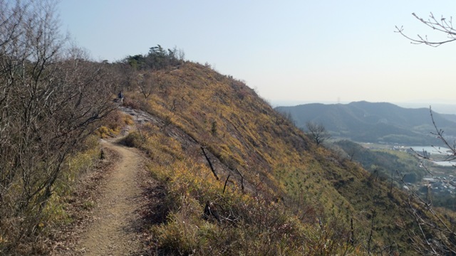 b0148050_2333861.jpg