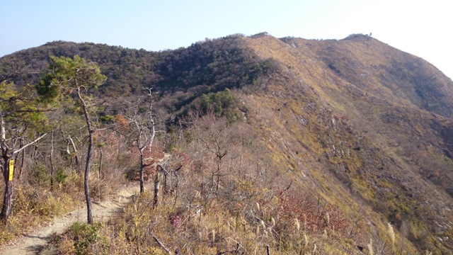 b0148050_235495.jpg