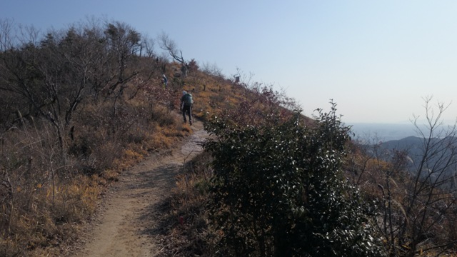 b0148050_2372429.jpg