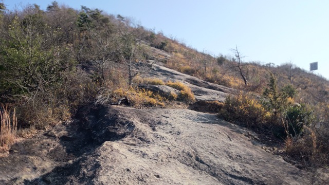 b0148050_2383637.jpg
