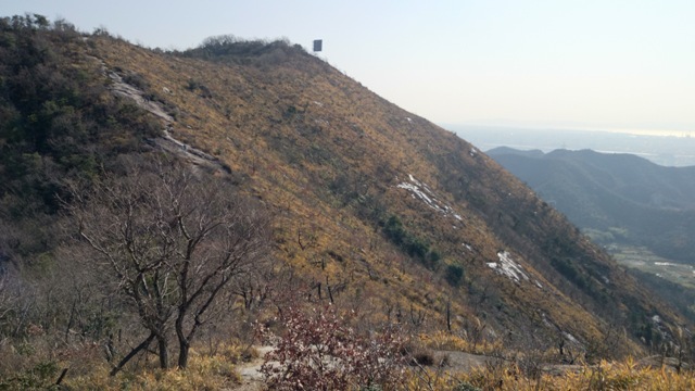 b0148050_238665.jpg