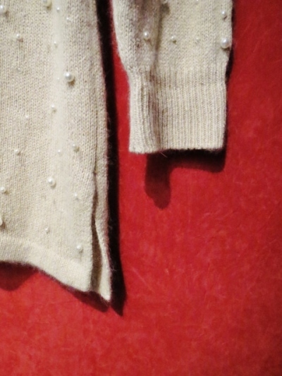 a0159652_13325497.jpg