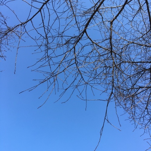 b0176275_19194057.jpeg