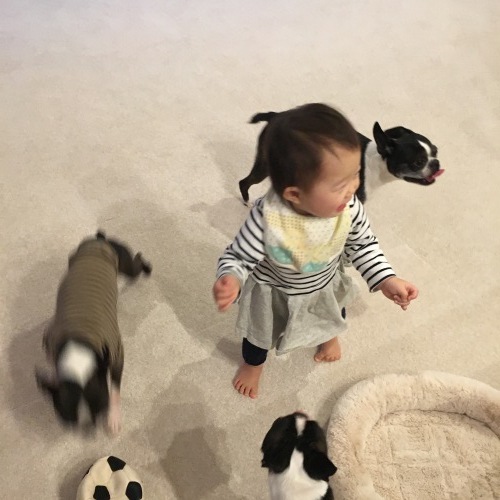 d0041575_22273524.jpeg
