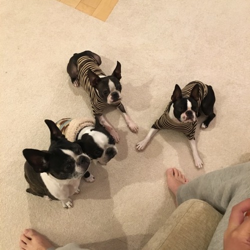 d0041575_22353910.jpeg