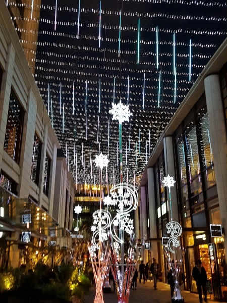 c0096685_12354004.jpg