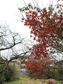 e0130185_19411126.jpg