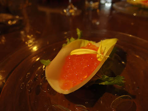 f0008686_1084279.jpg