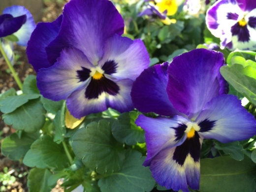 f0201297_14153288.jpg