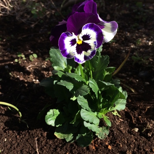 f0201297_14205386.jpg