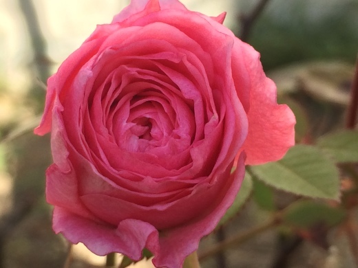 f0201297_14213049.jpg