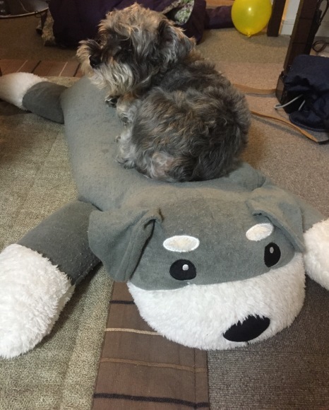 b0188998_13210719.jpeg