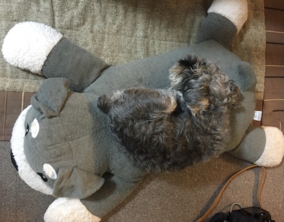 b0188998_13212056.jpeg