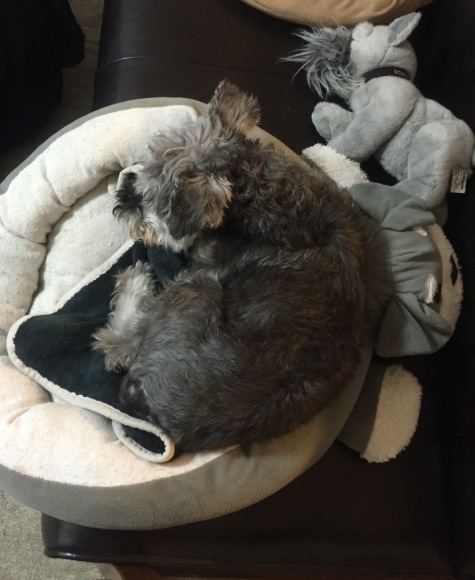 b0188998_13213205.jpeg