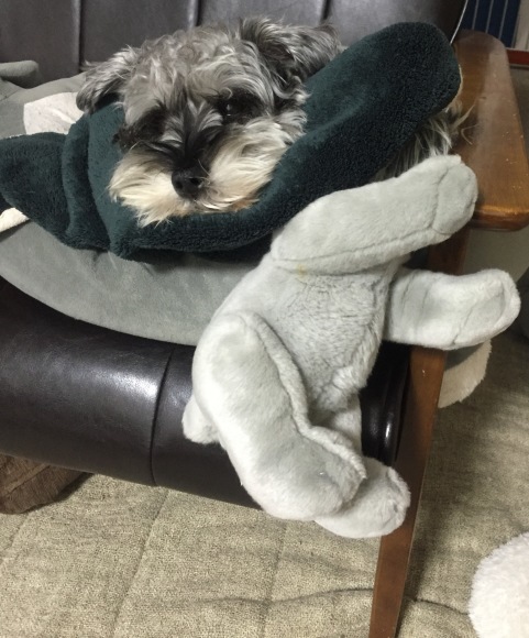 b0188998_13214510.jpeg