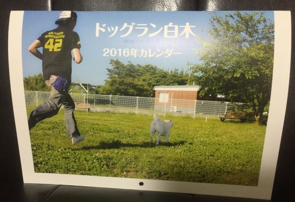 b0188998_21445295.jpeg