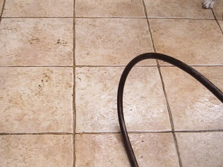 c0152002_18483700.jpg