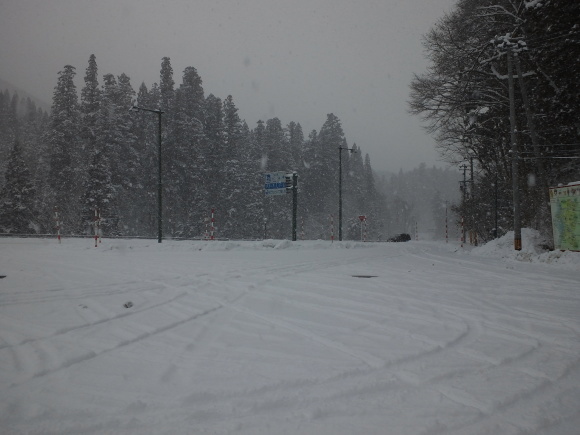 c0336907_21394209.jpg