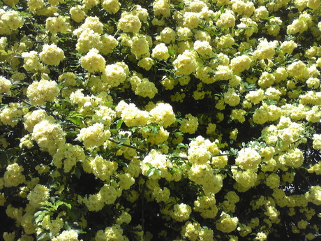 b0309813_2139285.jpg