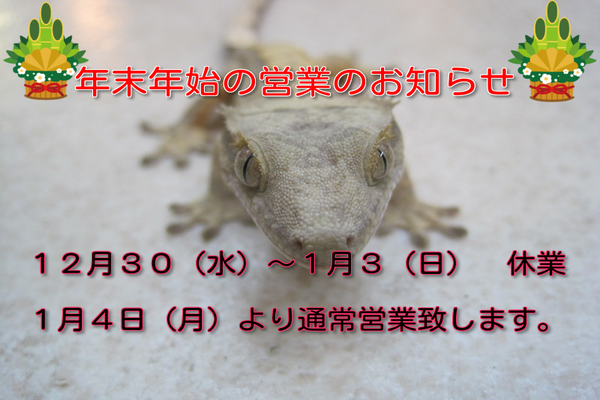 e0254814_15501694.png