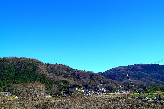 e0341417_17225964.jpg