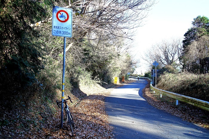 e0341417_17320329.jpg