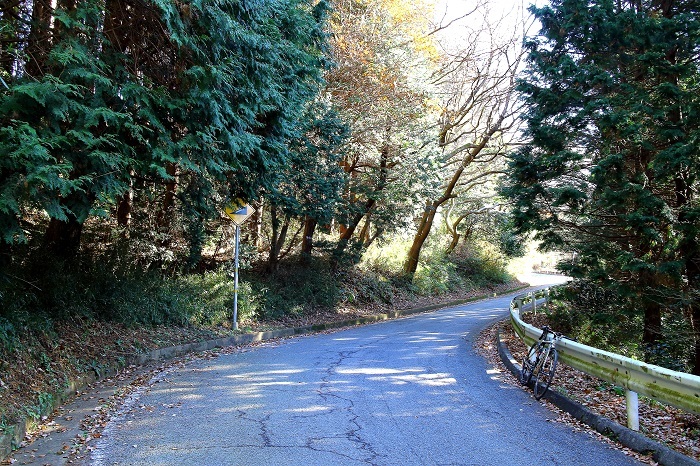e0341417_18520476.jpg