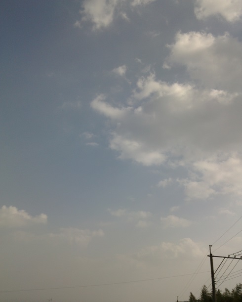 c0097620_129274.jpg