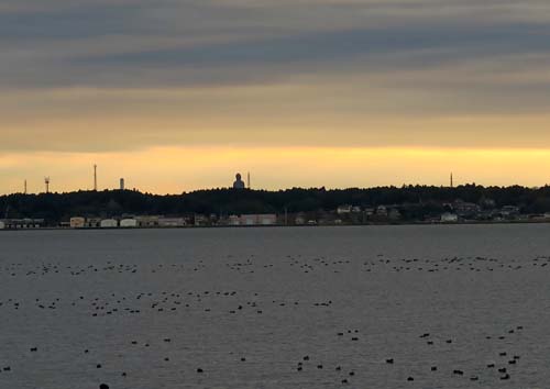 f0147025_19265871.jpg