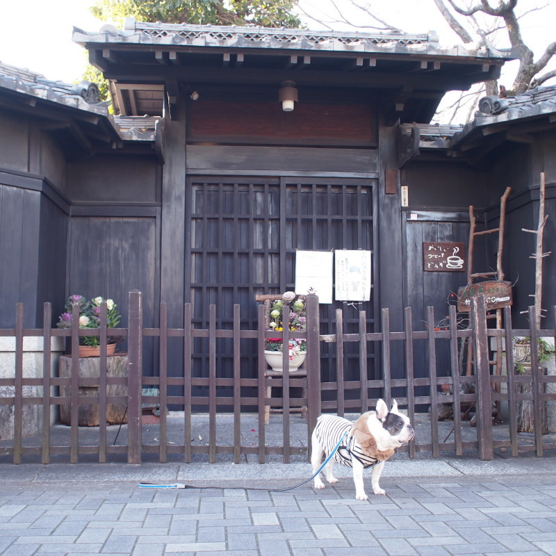 a0148431_16104248.jpg