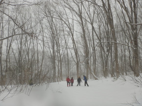 f0118332_21251092.jpg