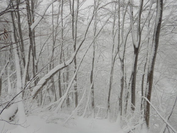 f0118332_21260189.jpg