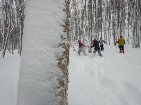 f0118332_21310703.jpg