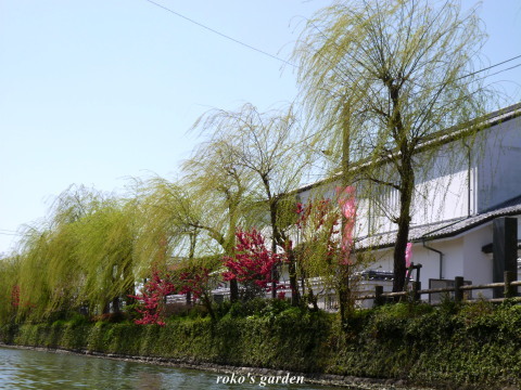 b0343934_22595435.jpg