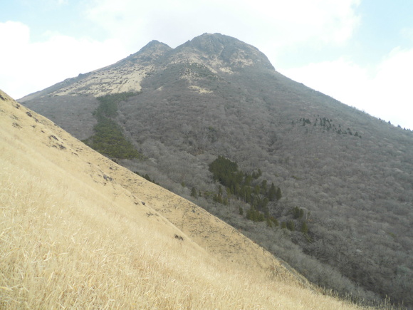 a0206345_20565589.jpg