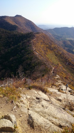 b0148050_9353593.jpg