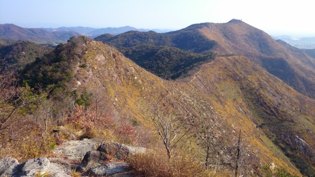 b0148050_935847.jpg