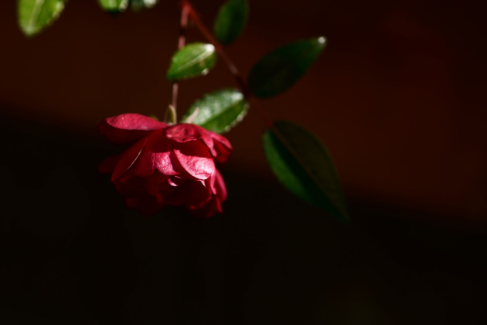 a0063552_7272232.jpg