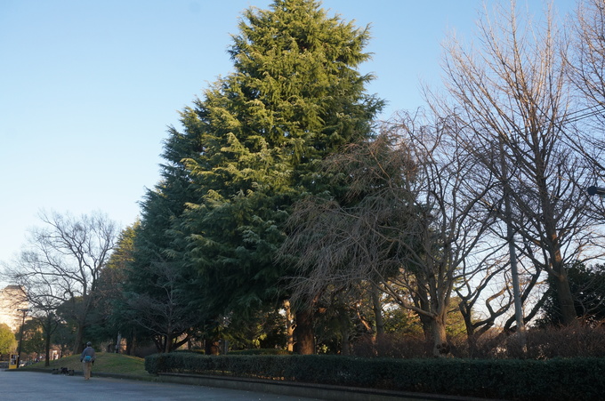 f0257756_011322.jpg