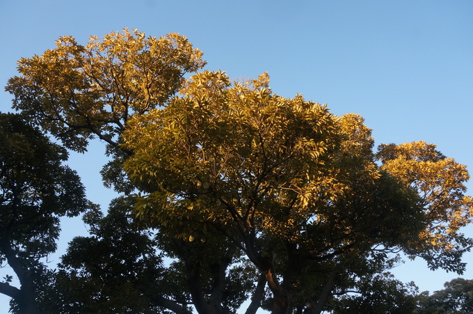f0257756_23511037.jpg