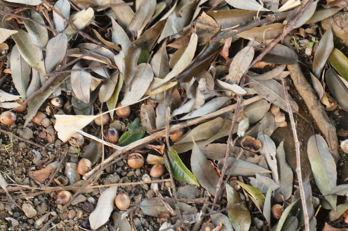 f0257756_23511576.jpg