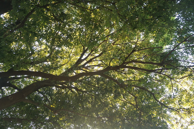 f0257756_2353059.jpg