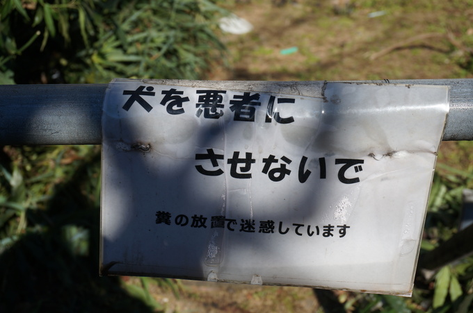 f0257756_3445072.jpg