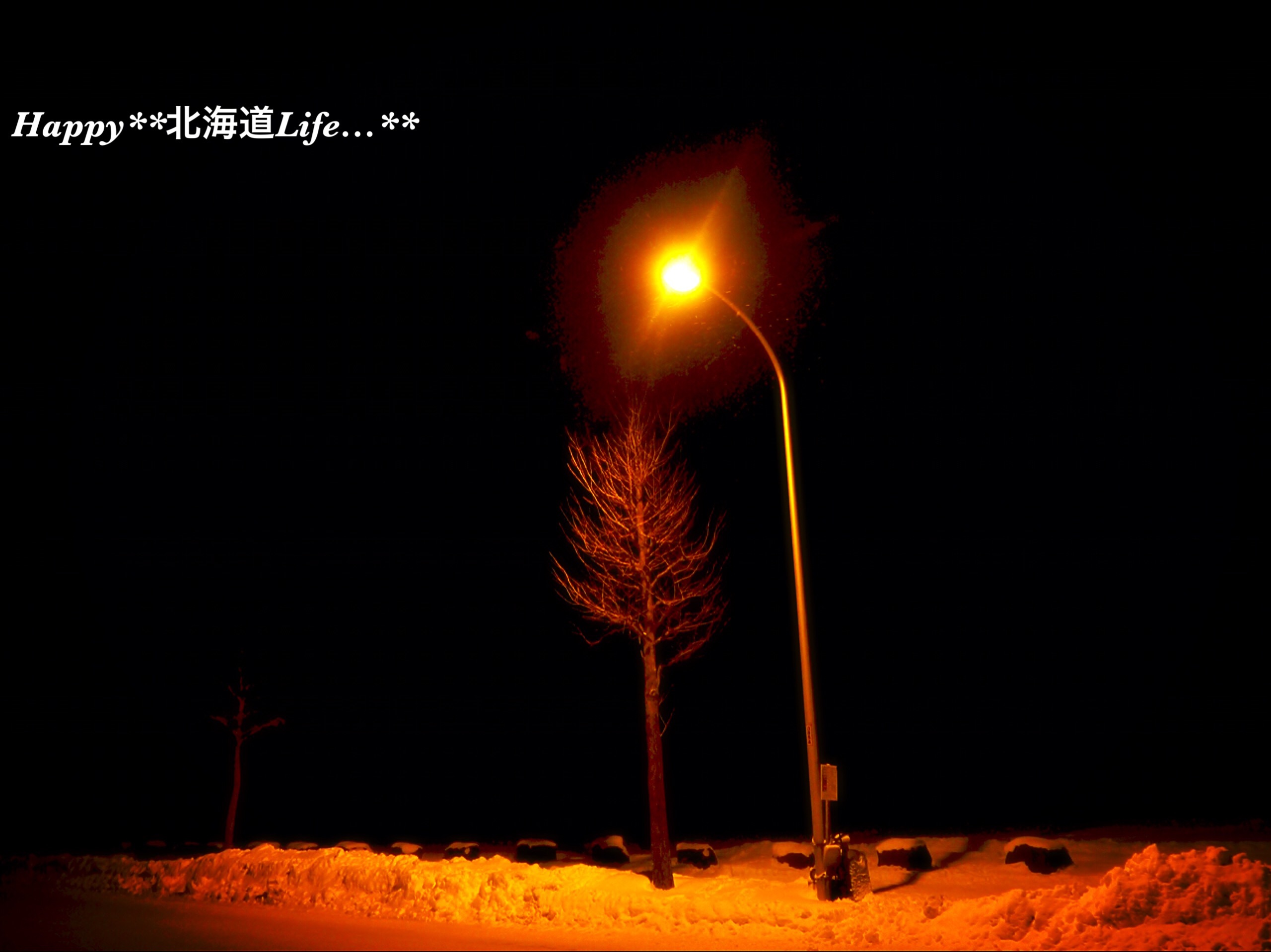 a0337860_22384267.jpeg