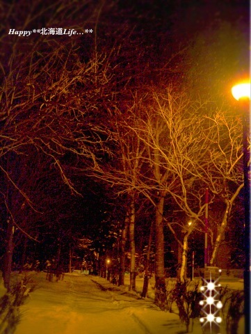a0337860_22392876.jpeg