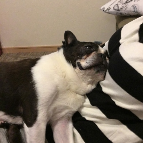 d0041575_22043759.jpeg