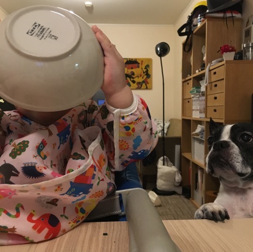 d0041575_22131061.jpeg